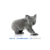 20 Fingers、Mr A . Anderson、Andy BELISSON - AA0023