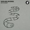 Rashid Ajami、Dan Berridge - Into The Night (Night Version)