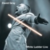 David Gray - Please Forgive Me (Live in Austin)
