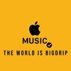 Bigdripdw - Patience (Radio Edit)