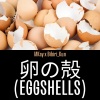 MK - 卵の殻 (Eggshells)(feat. Bibiri_Kun)