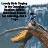 Natural Sounds、Natural Sounds Selections、Zen Sounds - Chirping Whispers