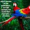 Natural Sounds、Natural Sounds Selections、Zen Sounds - Melodic Feathers