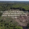 Natural Sounds、Natural Sounds Selections、Zen Sounds - Enchanted Wilderness