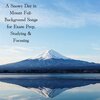 Natural Sounds、Natural Sounds Selections、Zen Sounds - Arctic Waltz