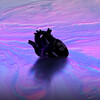 ZEC. - U Got My Heart