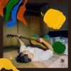 Francesco - Which Light