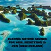 Natural Sounds、Natural Sounds Selections、Zen Sounds - Cactus Twilight