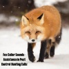 Natural Sounds、Natural Sounds Selections、Zen Sounds - Blandford's Boogie