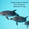 Natural Sounds、Natural Sounds Selections、Zen Sounds - Beneath the Ocean's Song