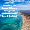 Natural Sounds、Natural Sounds Selections、Zen Sounds - Australian Raindance
