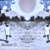 Modest D、Derek Marin - Never Ending Thought (Derek Marin Mix)
