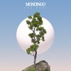 Mondingo - The Past