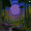 Meric Again - Daylight
