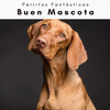 Perritos Fantásticos - Siempre: Relajar a un Perro Caminado