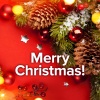 The Ronettes - Sleigh Ride