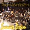 Evergreen Music Orchestra、Luigi Peyla - Summer Dream