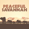 Relaxing Nature Sounds Collection - Drums of Savannah