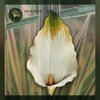 Alain Fanegas、Thaai di、Iban Mendoza - Viva a Vida