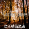 音乐精品酒店 - 一尘不染焦点印象数