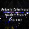 Dj tom zs、MC Negritin、DN 22 - Putaria Criminosa (Explicit)