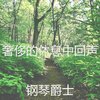 钢琴爵士 - 一尘不染焦点印象数