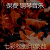 保费 钢琴音乐 - 一尘不染休息中印象数