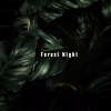 Iguata《Forest Night Rain》[MP3/LRC]