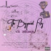 LIL DISNEY - MR DISNEY (Explicit)