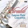 Dall'Arco Chamber Orchestra、Istvan Parkanyi - Concerto for Recorder and 2 Violins in A Minor, RV 108: I. Allegro molto