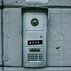 Gavio - bene