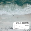 宋小贝儿 - 一半疯了一半算了