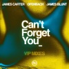 James Carter、Ofenbach、James Blunt《Can’t Forget You (feat. James Blunt) (Ofenbach VIP Remix)》[MP3/LRC]