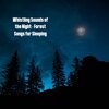 Natural Sounds、Natural Sounds Selections、Zen Sounds - Flight of the Night