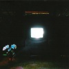 Emeralds - Candy Shoppe