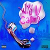 Crime Scene - Why u callin ? (Explicit)