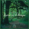 Lluvia del Bosque - Sonidos de Lluvia en el Bosque (Pt. 01)