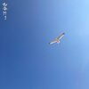 Dwayne Warner、Zoran - 26 Grad