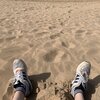 The Last Skeptik - Alone In The Desert (Explicit)