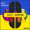 V.O.Y《Some Other World (Original Mix)》[MP3/LRC]