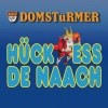 Domstürmer《Hück ess de Naach》[MP3/LRC]