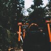Syrus - meds