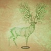 Beta Function - Desert Biome