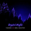 Yakuro、Emil Sagitov《Crystal Night》[MP3/LRC]