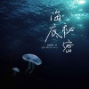单循 - 海底秘密