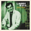 Larry Hall《Sandy》[MP3/LRC]