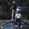 Pmw Dee、SHADY - 50shots (Explicit)