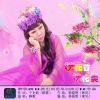 于全莉 - 槐花香槐花美