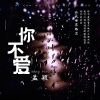 孟颖 - 你不爱