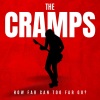 The Cramps - How Far Can Too Far Go? (Live)